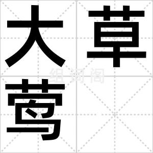 大草莺