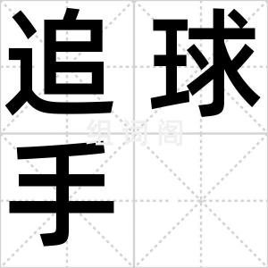 追球手