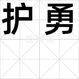 护勇