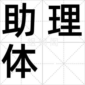 助理体