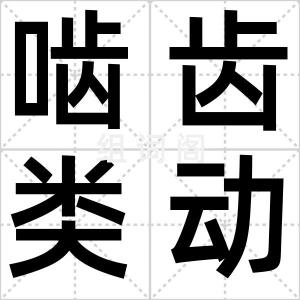 啮齿类动物