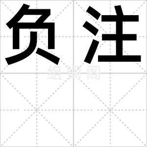 负注