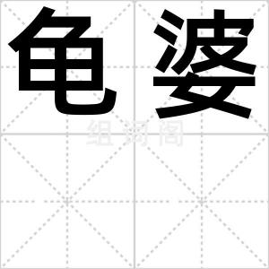龟婆