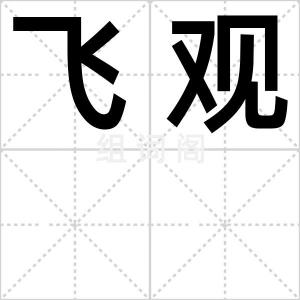 飞观