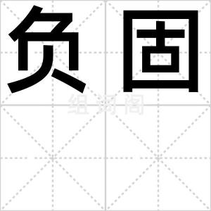 负固