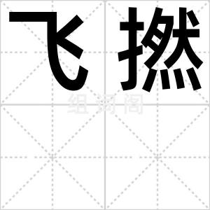 飞撚