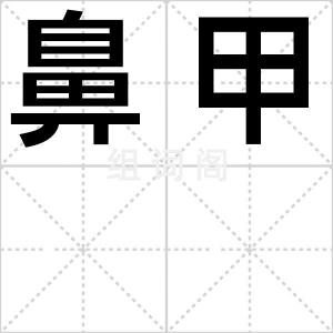 鼻甲