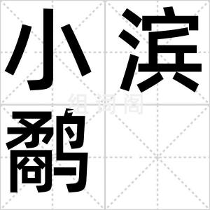小滨鹬