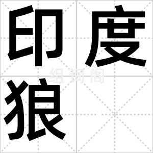印度狼