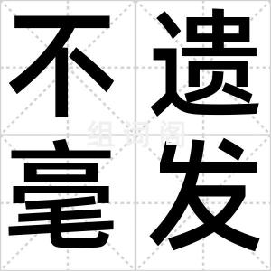 不遗毫发