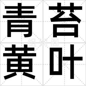 青苔黄叶