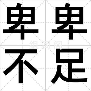 卑卑不足道