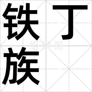 铁丁族