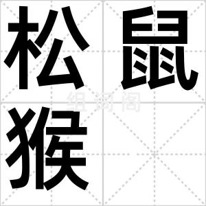 松鼠猴