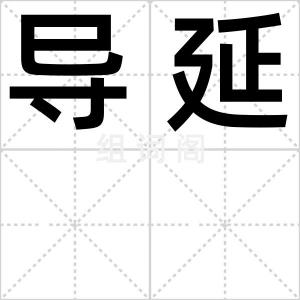导延