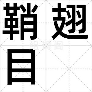 鞘翅目