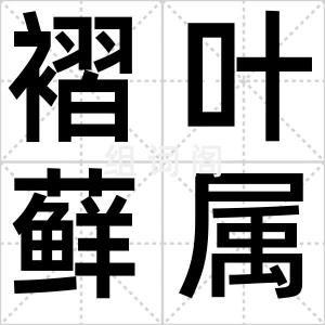 褶叶藓属