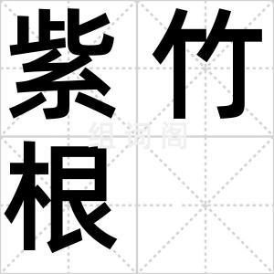 紫竹根