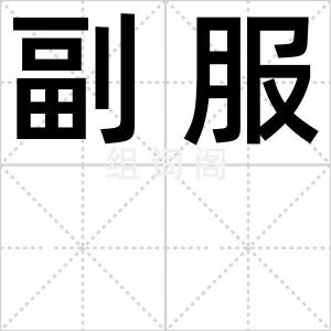 副服