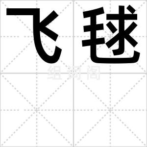 飞毬