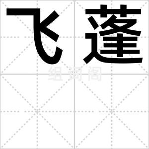 飞蓬