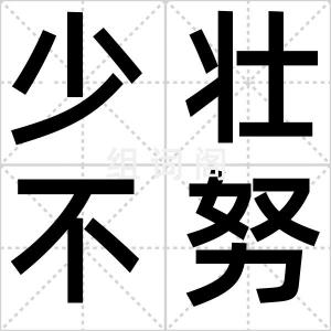 少壮不努力