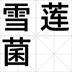 雪莲菌