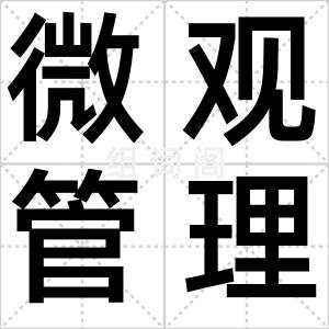 微观管理