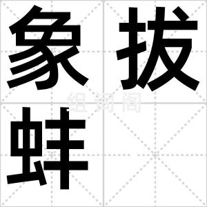 象拔蚌