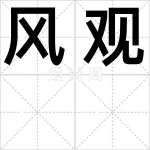 风观