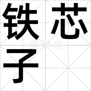 铁芯子