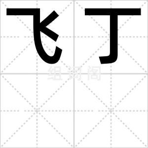 飞丁