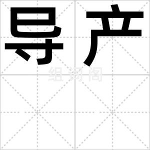 导产