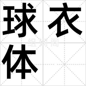 球衣体