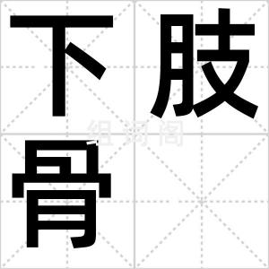下肢骨