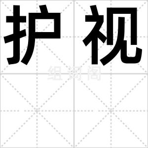 护视