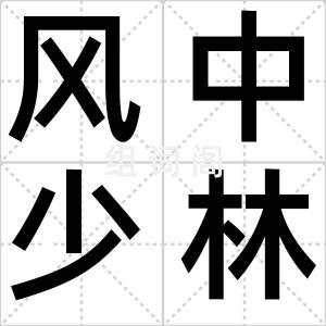 风中少林