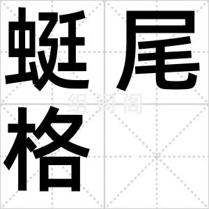 蜓尾格