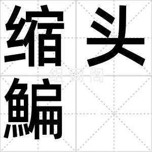 缩头鯿