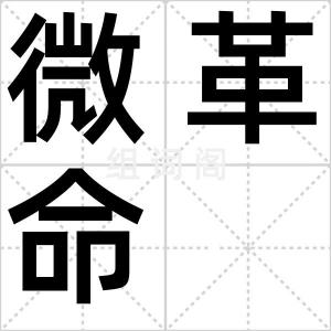 微革命