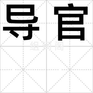 导官