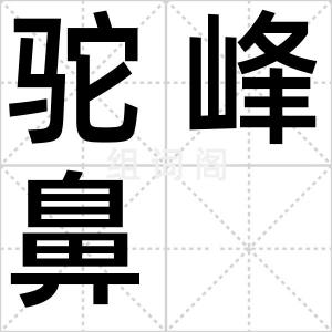 驼峰鼻