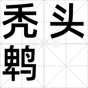 秃头鹎