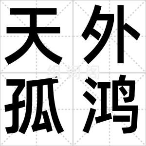 天外孤鸿