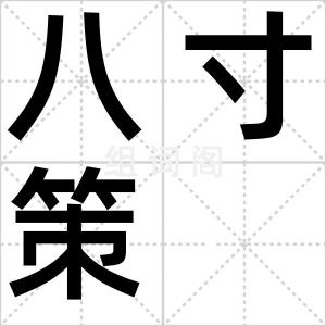 八寸策
