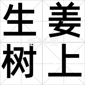 生姜树上生