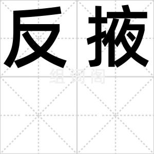 反掖