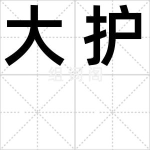 大护