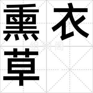 熏衣草