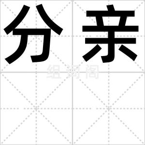 分亲